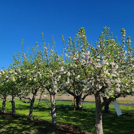 Twisp Casia Lodge And Ranch מראה חיצוני תמונה