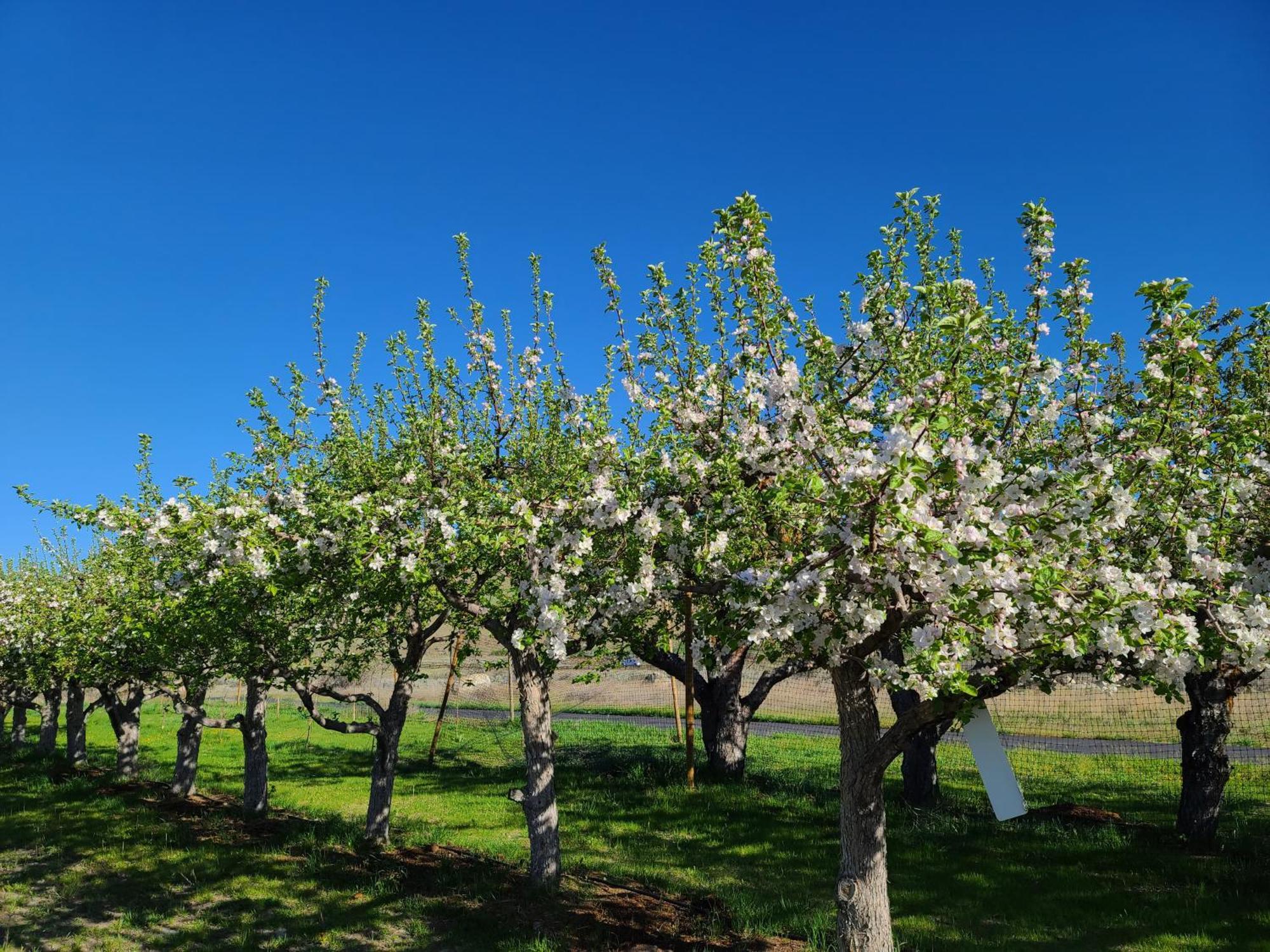 Twisp Casia Lodge And Ranch מראה חיצוני תמונה
